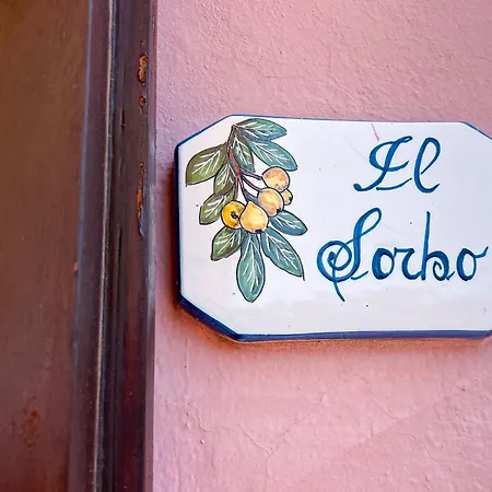 Il Micio Casa de Férias *